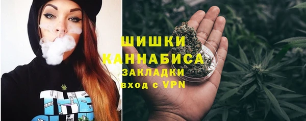 сатива Нягань