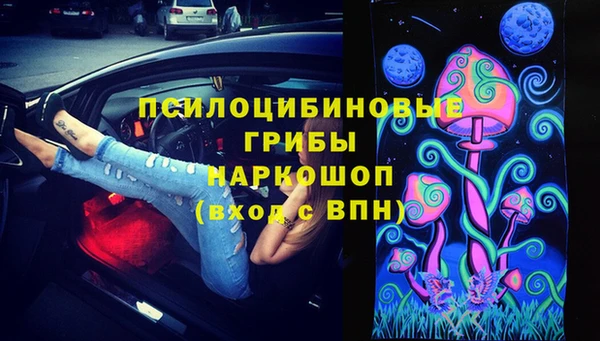 прущие крисы Няндома