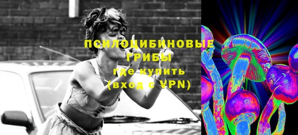 крисы Нязепетровск