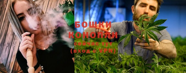 прущие крисы Няндома
