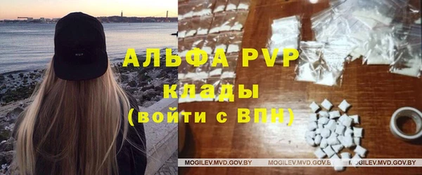 сатива Нягань