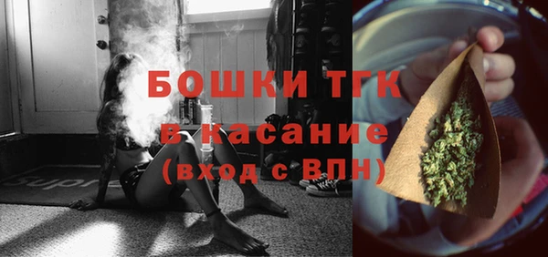 сатива Нягань