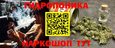 гашик Ирбит