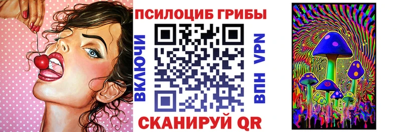 что такое наркотик  Электрогорск  Псилоцибиновые грибы Magic Shrooms 