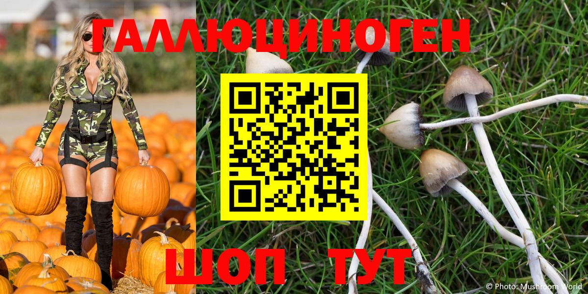 Галлюциногенные грибы GOLDEN TEACHER  Псилоцибиновые грибы GOLDEN TEACHER  Электрогорск 